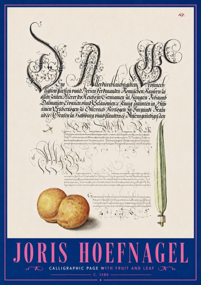 Joris Hoefnagel Calligraphic Page with Fruit and Leaf No5 - Poster