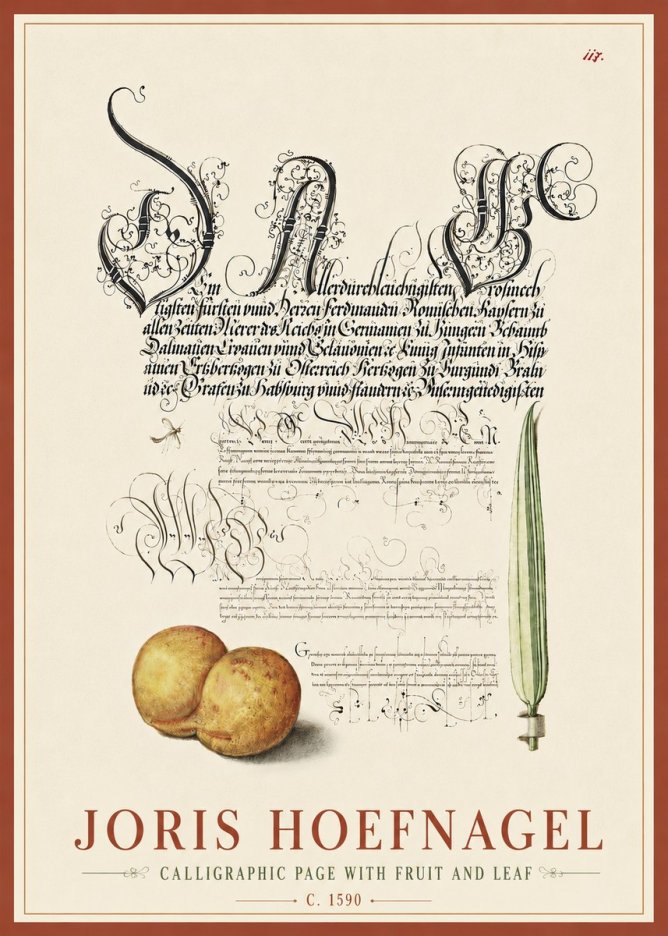 Joris Hoefnagel Calligraphic Page with Fruit and Leaf No6 - Poster