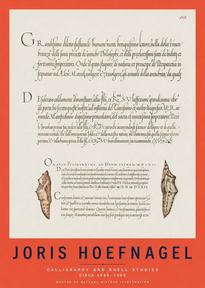 Joris Hoefnagel Study of Shells and Calligraphy No3 - Poster