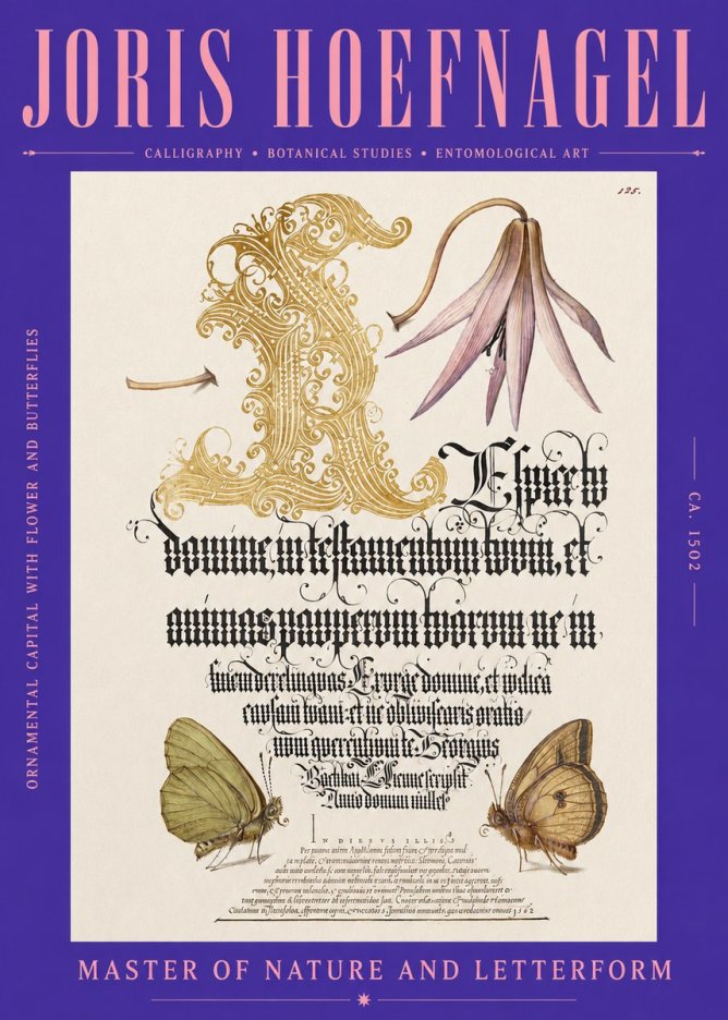 Joris Hoefnagel Ornamental Capital with Flower and Butterflies No2 - Poster