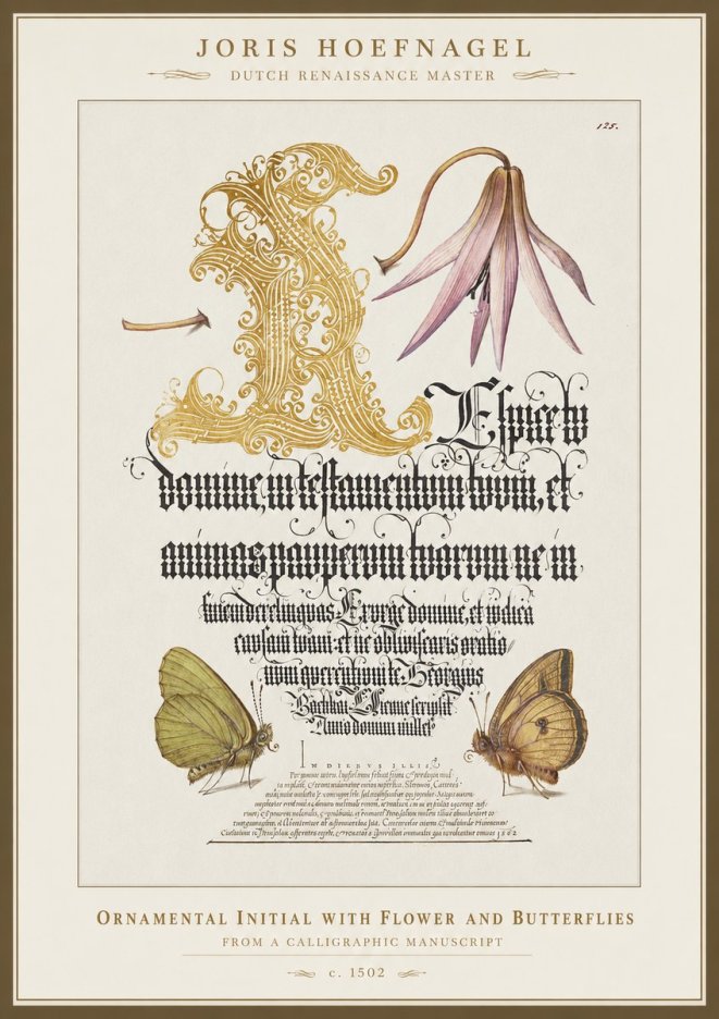 Joris Hoefnagel Ornamental Capital with Flower and Butterflies No5 - Poster