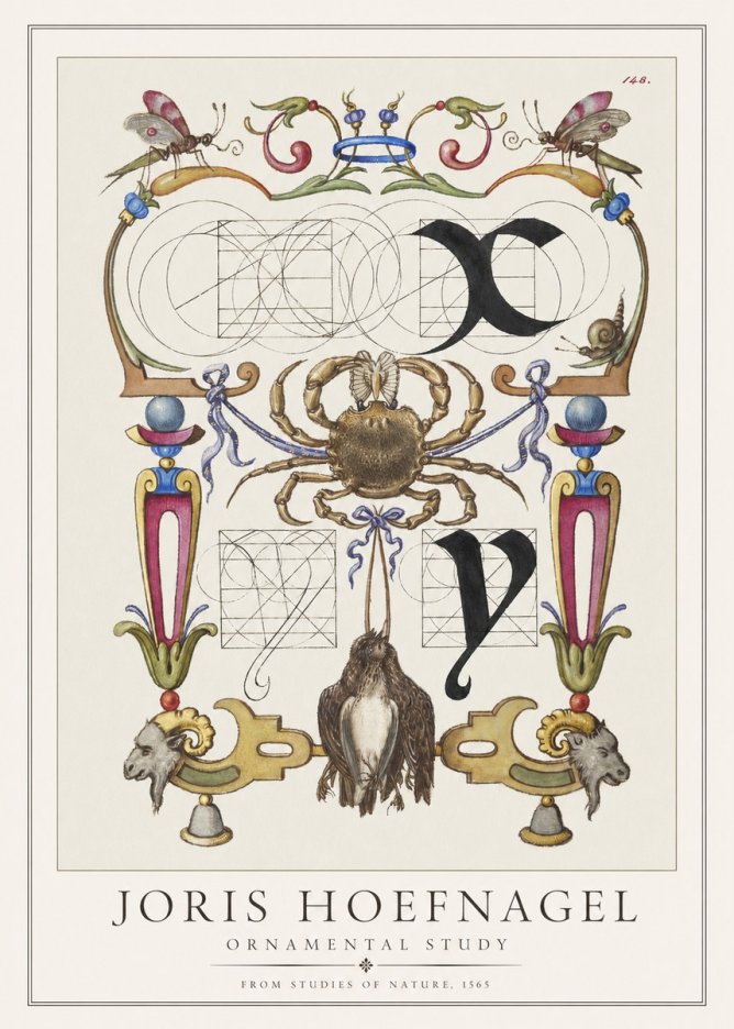 Joris Hoefnagel Ornamental Study II No1 - Poster