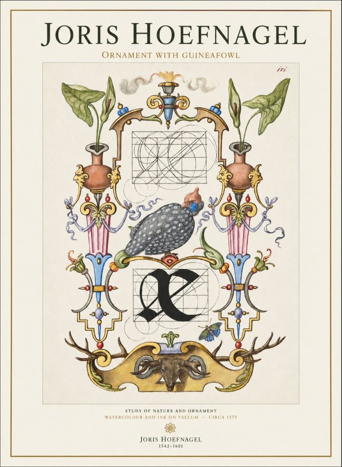 Joris Hoefnagel Ornament with Guineafowl No1 - Poster