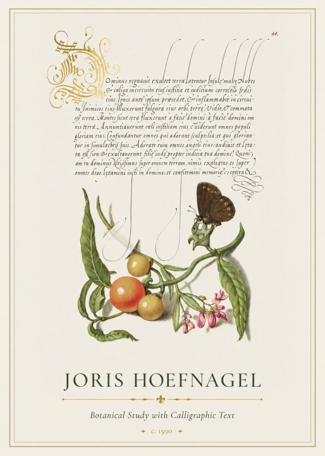 Joris Hoefnagel Botanical Study with Calligraphic Text No1 - Poster