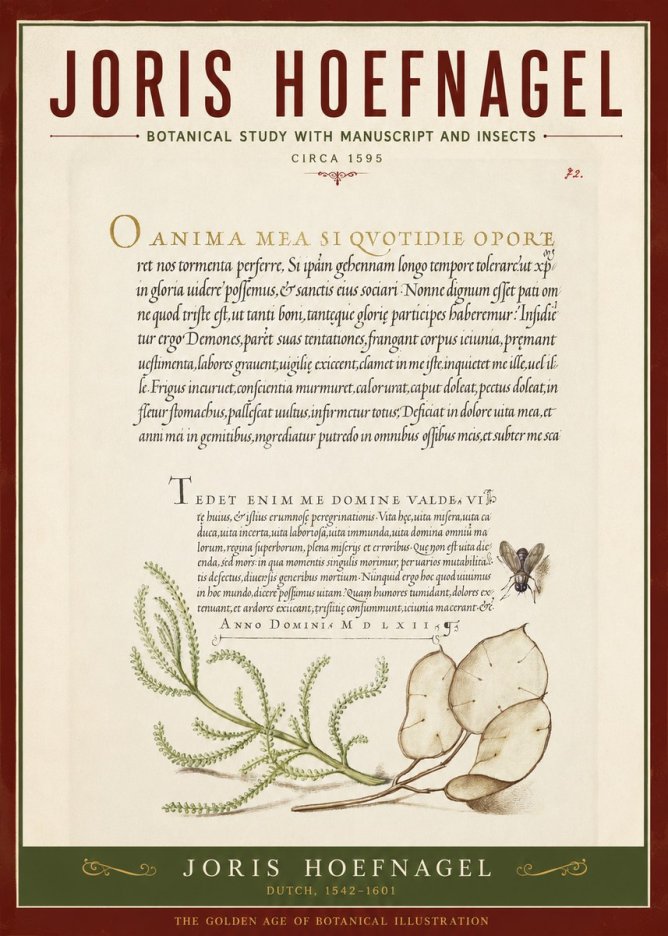 Joris Hoefnagel Botanical Study with Manuscript and Insects No2 - Poster