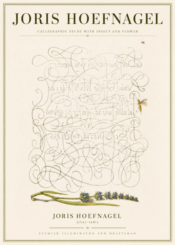 Joris Hoefnagel Calligraphic Study with Insect and Flower No3 - Poster