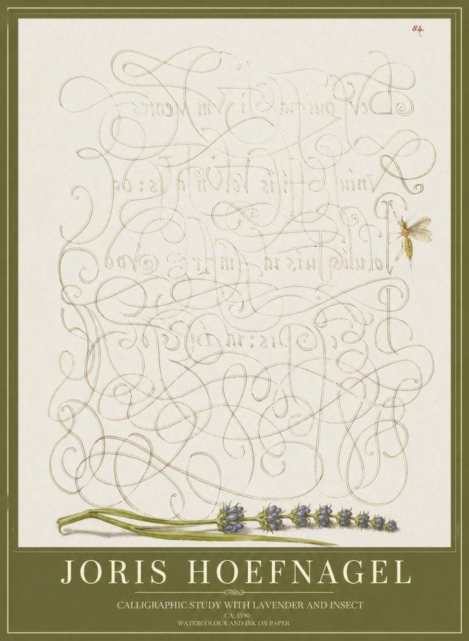 Joris Hoefnagel Calligraphic Study with Insect and Flower No5 - Poster