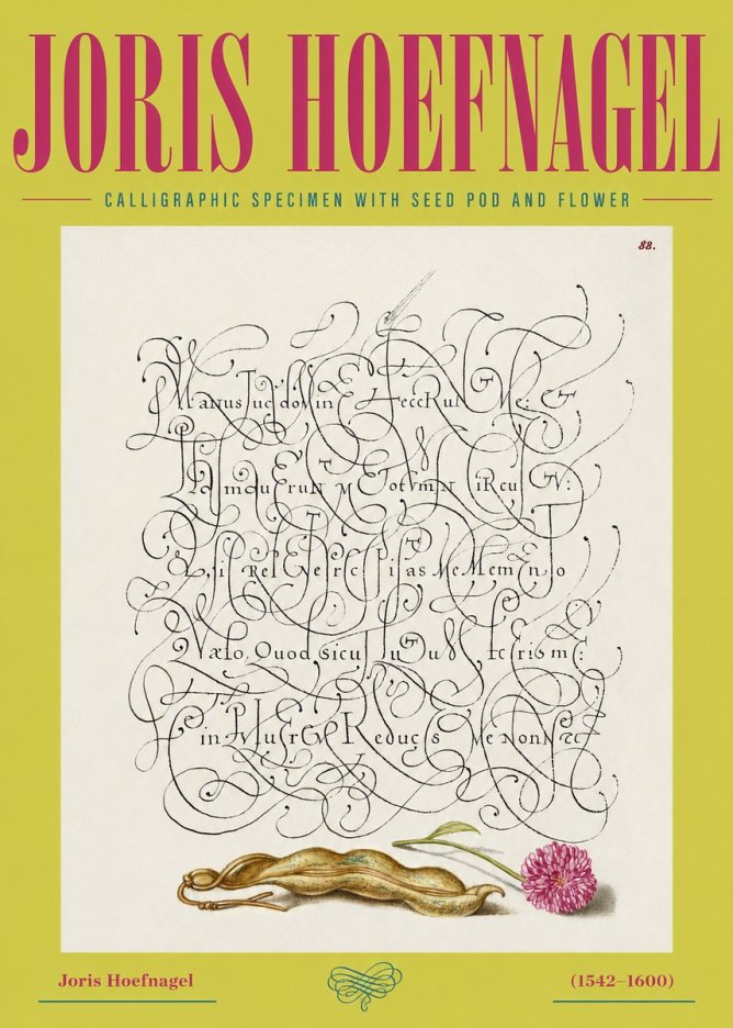 Joris Hoefnagel Calligraphic Specimen with Seed Pod and Flower No2 - Poster