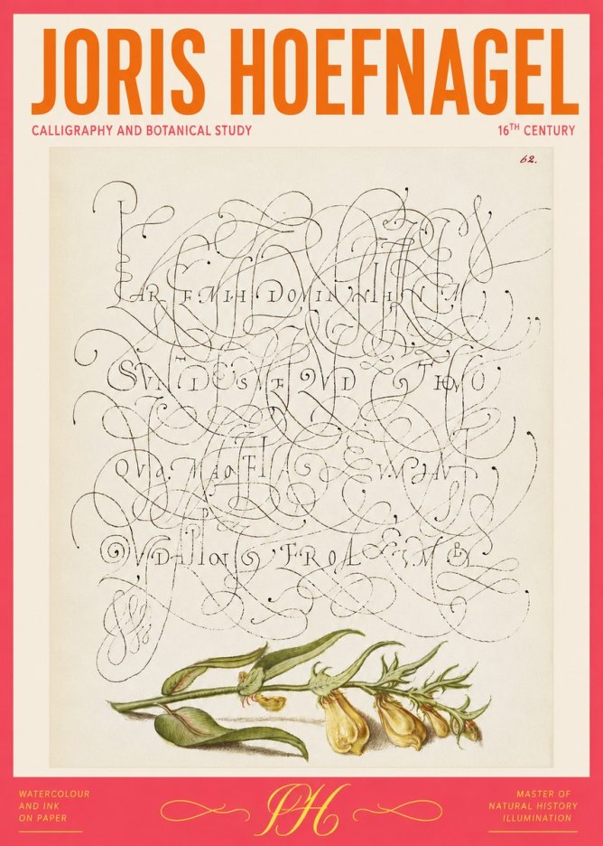 Joris Hoefnagel Calligraphic Practice with Botanical Study No2 - Poster