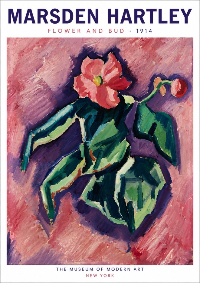 Marsden Hartley Flower and Bud No6 - Poster