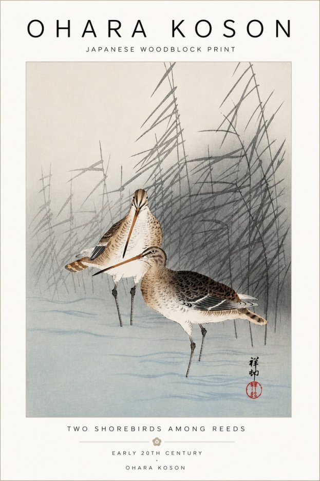 Ohara Koson Snipe in the Reeds No5 - Poster