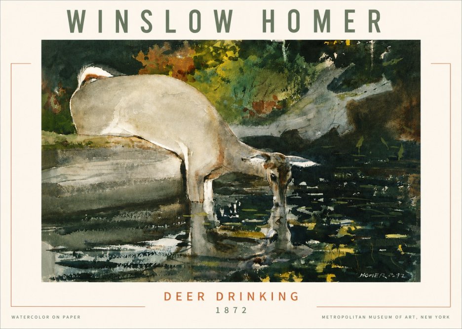 Winslow Homer Deer Drinking No4 - Poster