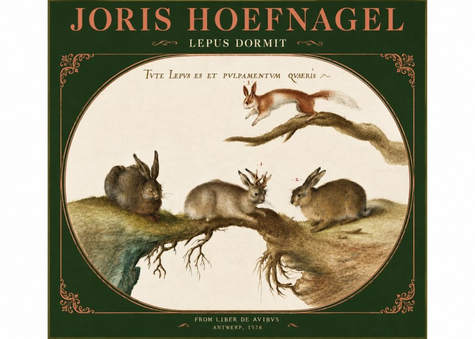 Joris Hoefnagel Lepvs Dormit No2 - Poster