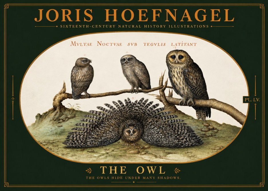 Joris Hoefnagel Noctva Volat No6 - Poster