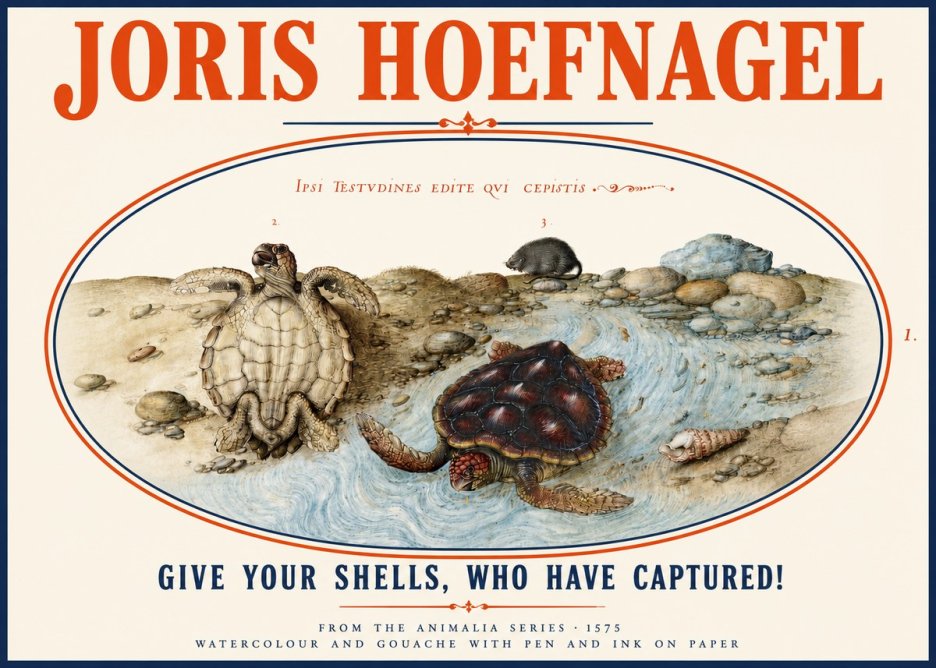Joris Hoefnagel Two Turtles in a Stream No4 - Poster