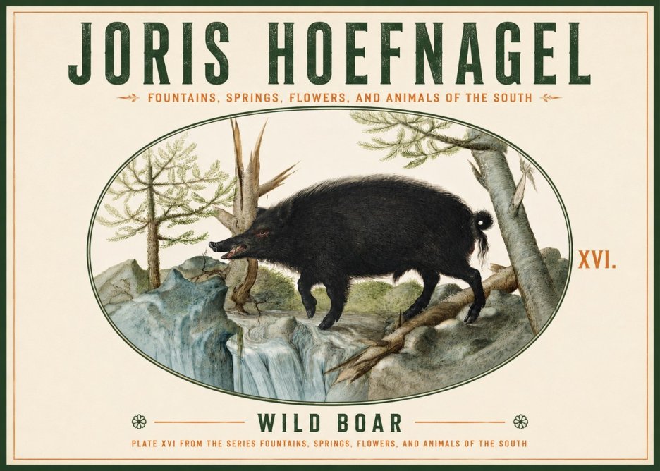 Joris Hoefnagel Fountains, Springs, Flowers, and Animals of the South - Plate Xvi No4 - Poster