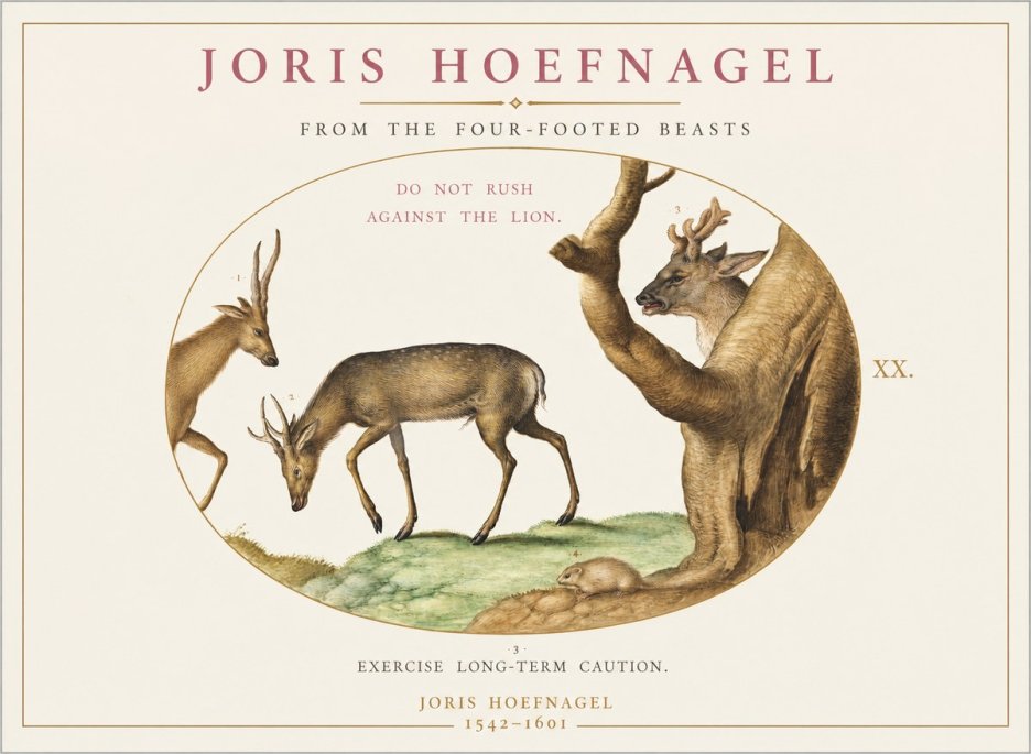 Joris Hoefnagel Do Not Rush Against the Lion. No1 - Poster