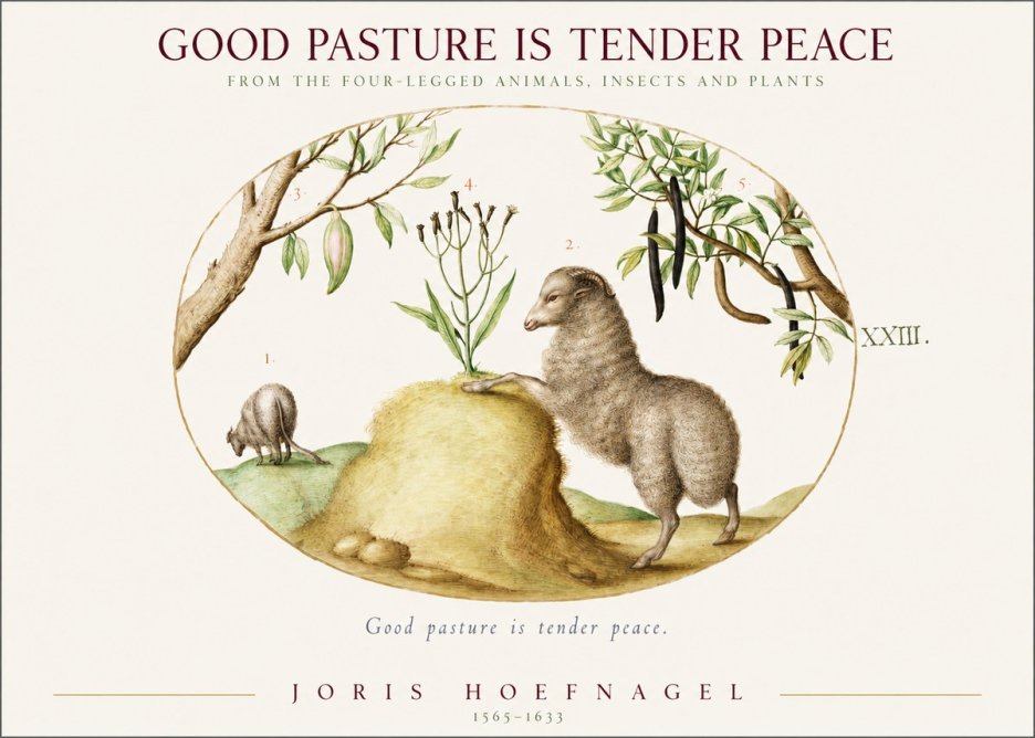 Joris Hoefnagel Good Pasture Is Tender Peace. No1 - Poster