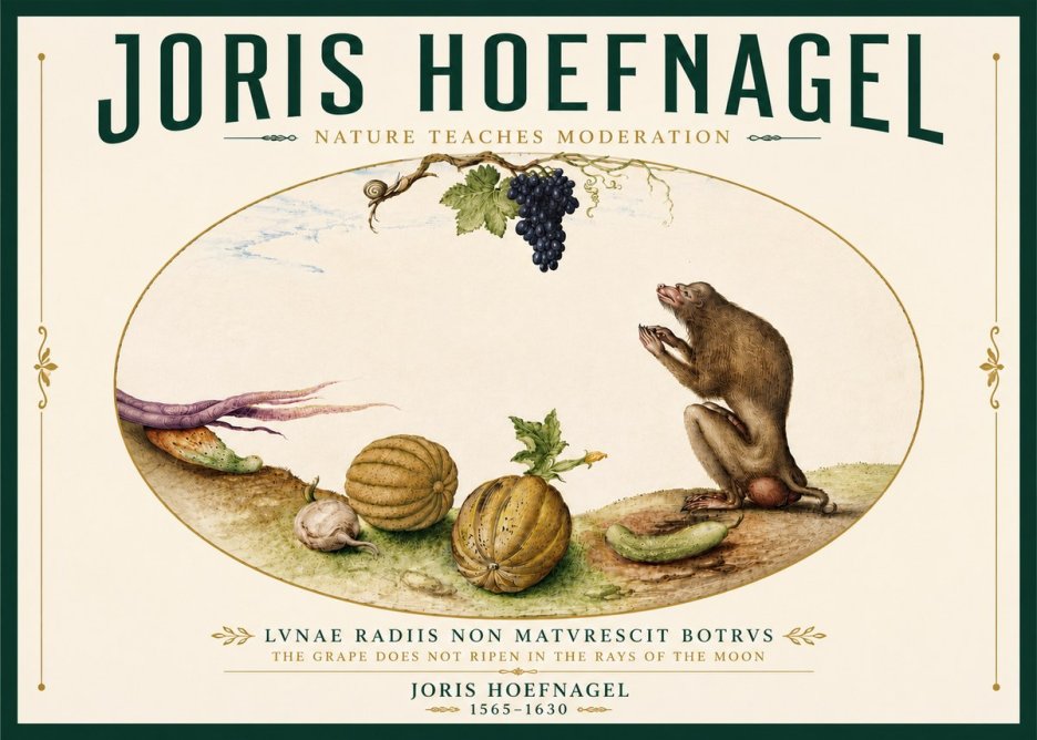 Joris Hoefnagel Nature Teaches Moderation No6 - Poster