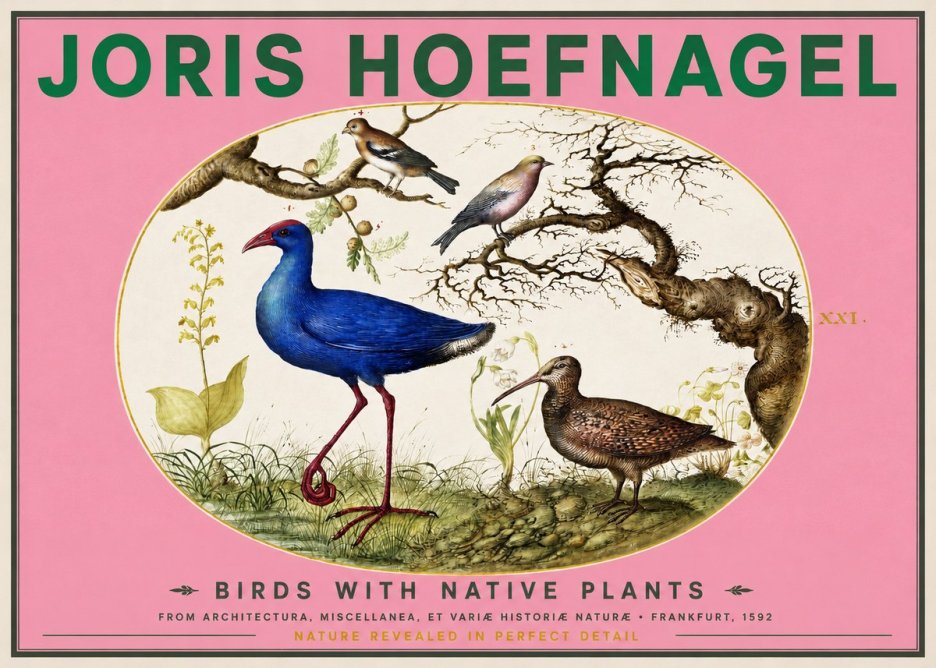 Joris Hoefnagel Birds with Native Plants No2 - Poster