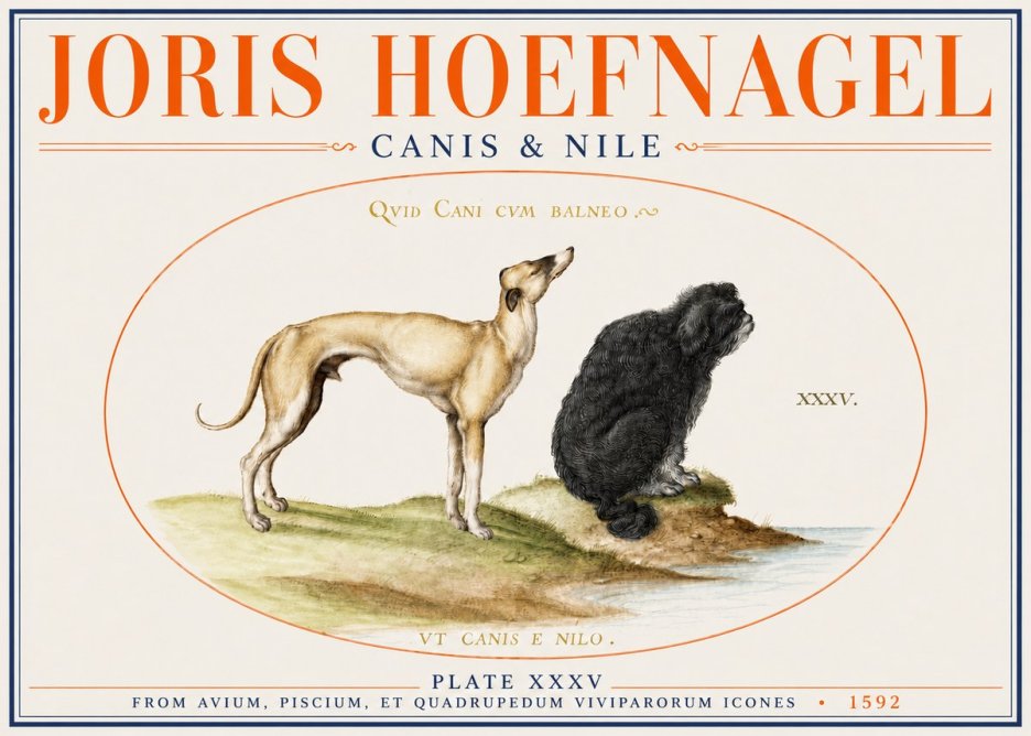 Joris Hoefnagel Neither Can a Dog Live in Baths No4 - Poster
