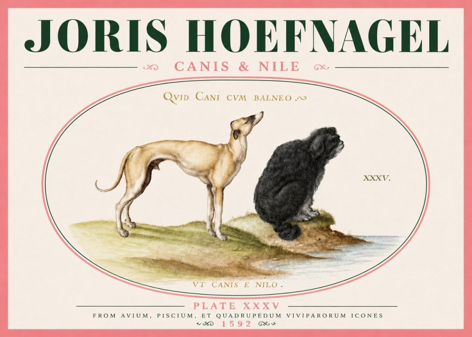Joris Hoefnagel Neither Can a Dog Live in Baths No6 - Poster