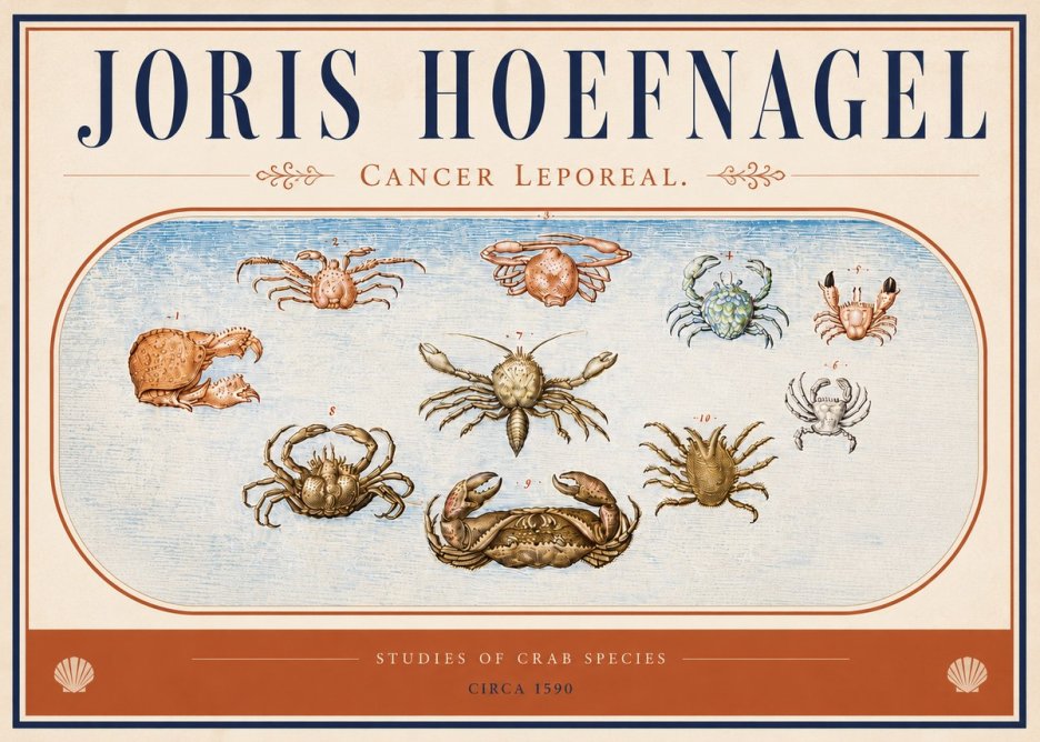 Joris Hoefnagel Cancer Leporeal. No4 - Poster