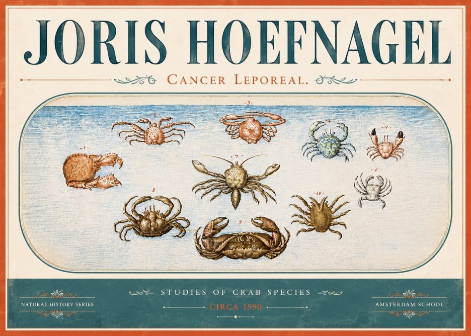 Joris Hoefnagel Cancer Leporeal. No6 - Poster