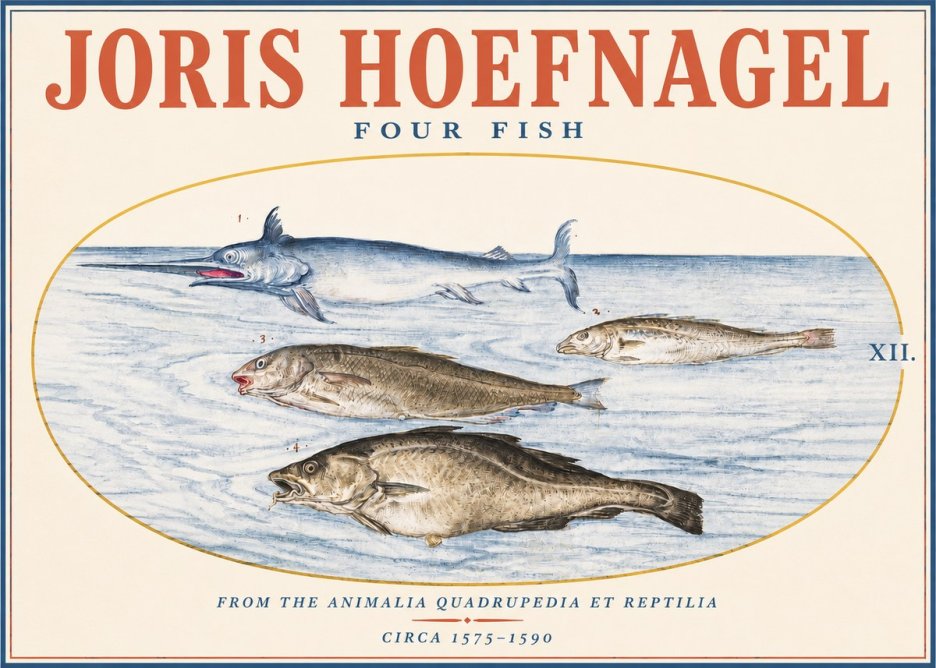 Joris Hoefnagel Four Fish No3 - Poster