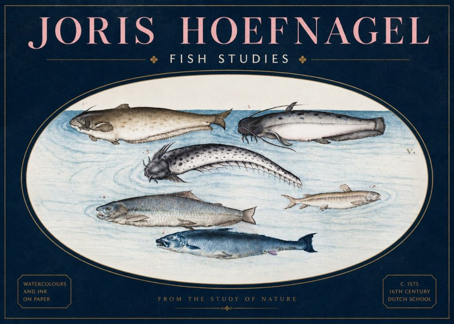 Joris Hoefnagel Fish of the Waters No4 - Poster
