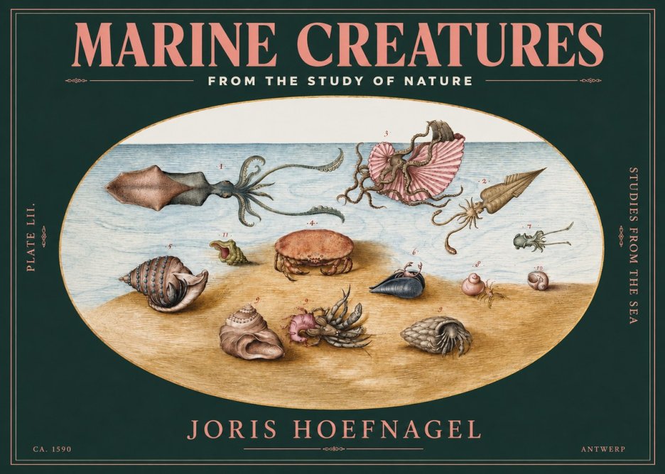 Joris Hoefnagel Marine Creatures - Plate Lii No3 - Poster