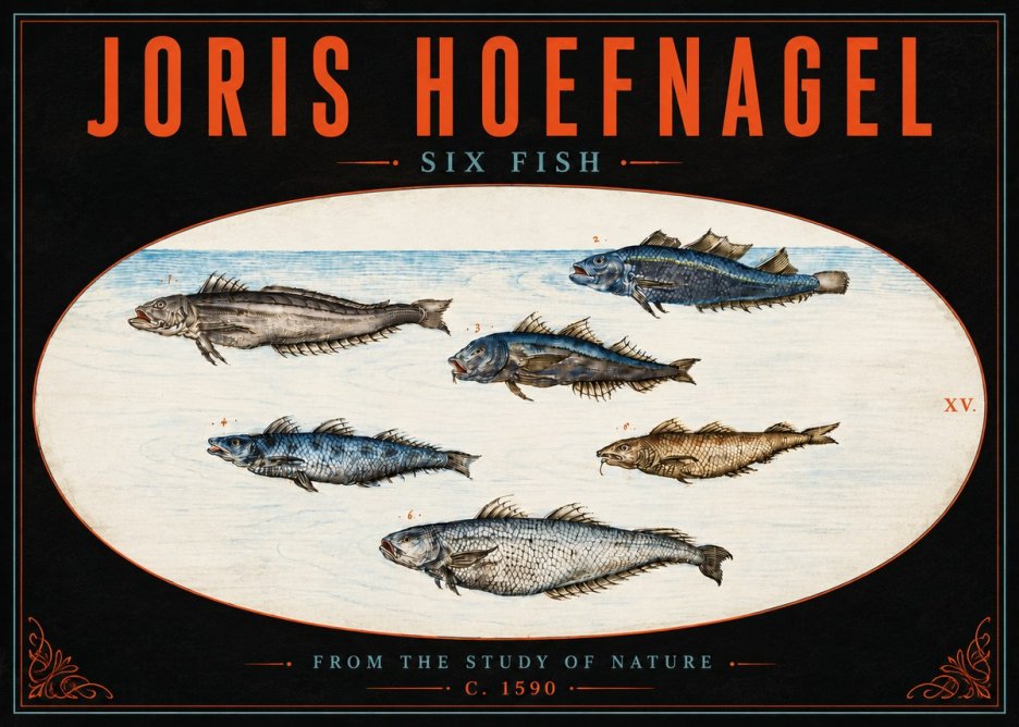 Joris Hoefnagel Six Fish No5 - Poster