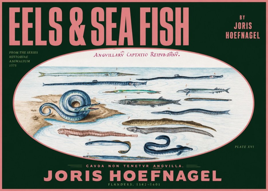 Joris Hoefnagel Eels and Sea Fish No2 - Poster