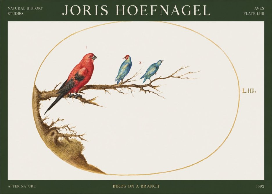 Joris Hoefnagel Birds on a Branch No1 - Poster