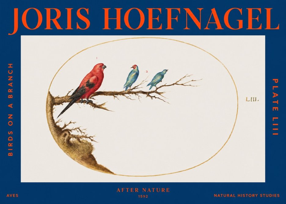 Joris Hoefnagel Birds on a Branch No3 - Poster
