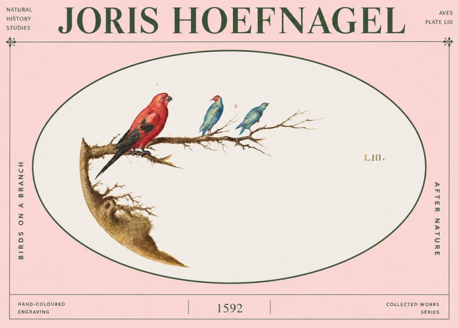 Joris Hoefnagel Birds on a Branch No4 - Poster