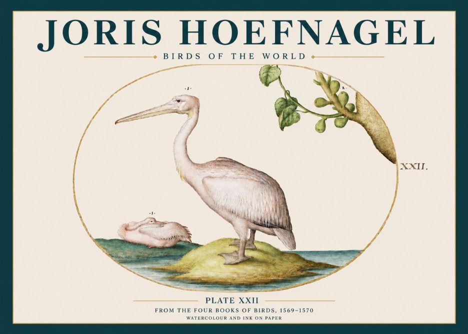 Joris Hoefnagel Plate Xxii No3 - Poster