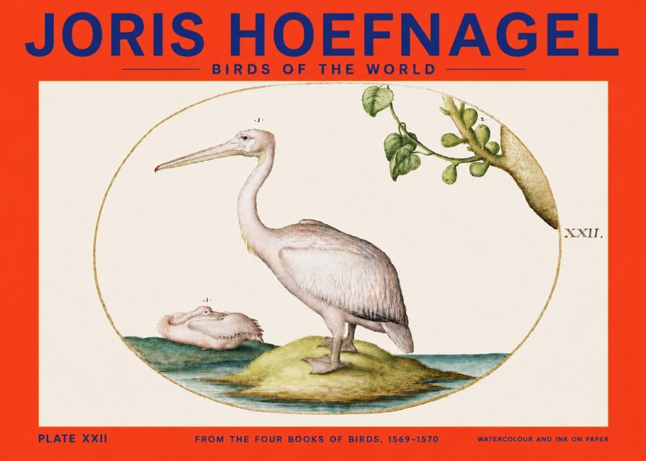 Joris Hoefnagel Plate Xxii No4 - Poster