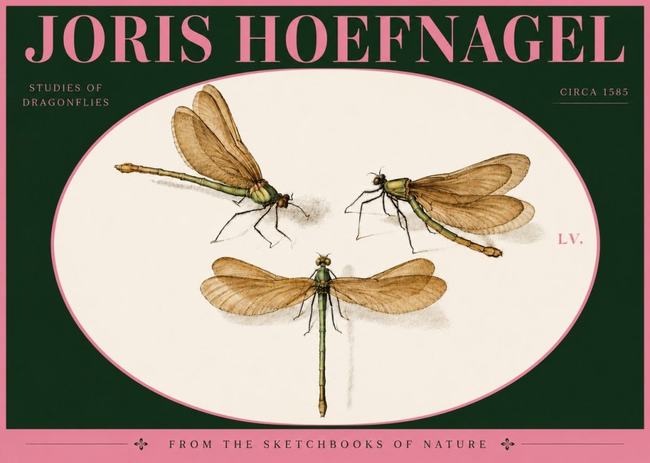 Joris Hoefnagel Studies of Dragonflies No4 - Poster