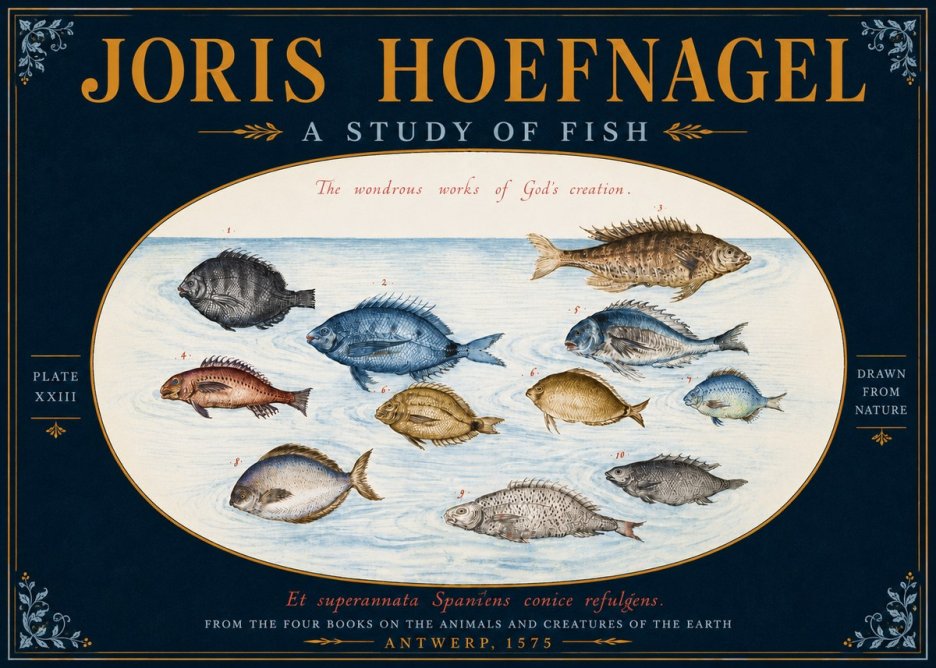 Joris Hoefnagel A Study of Fish No5 - Poster