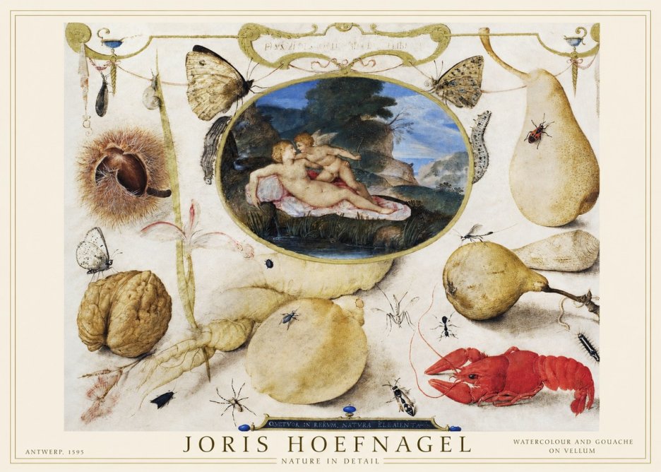 Joris Hoefnagel Nature in Detail No1 - Poster
