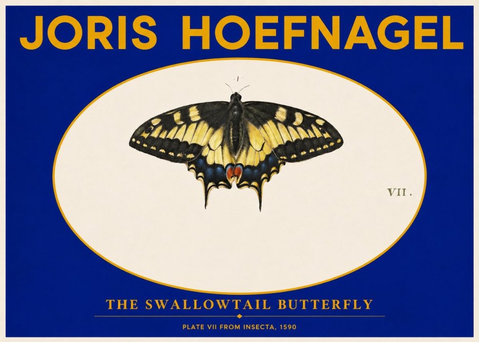 Joris Hoefnagel Study of a Swallowtail Butterfly No6 - Poster