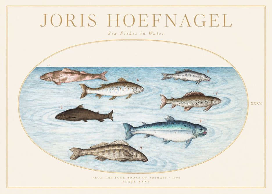 Joris Hoefnagel Six Fishes in Water I No1 - Poster
