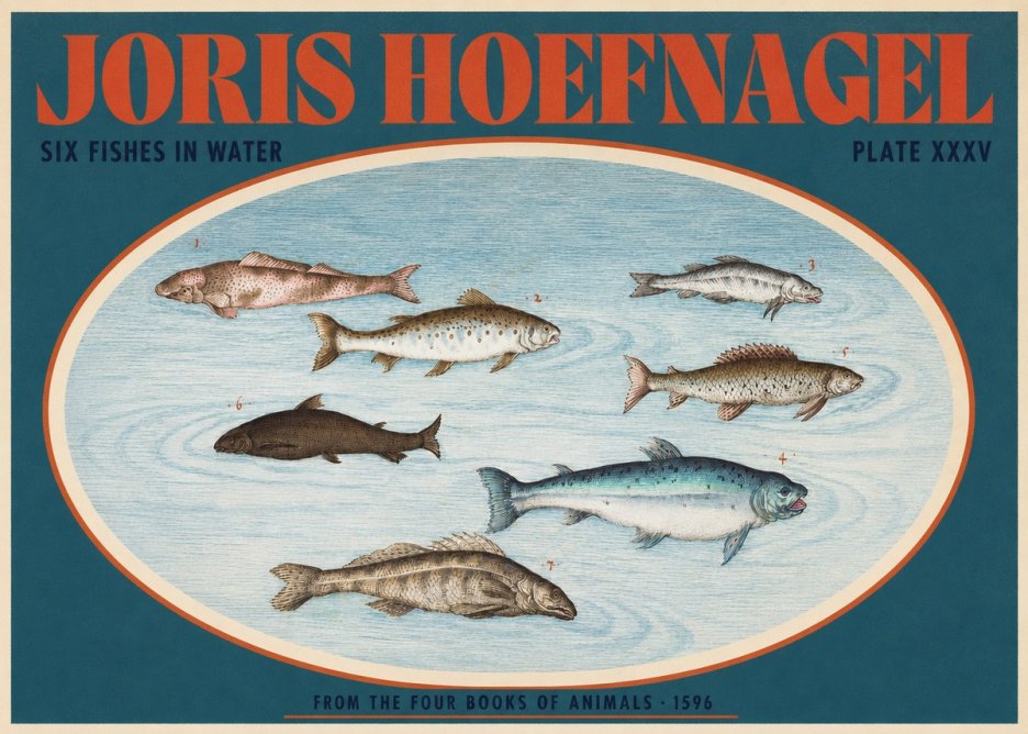 Joris Hoefnagel Six Fishes in Water I No2 - Poster