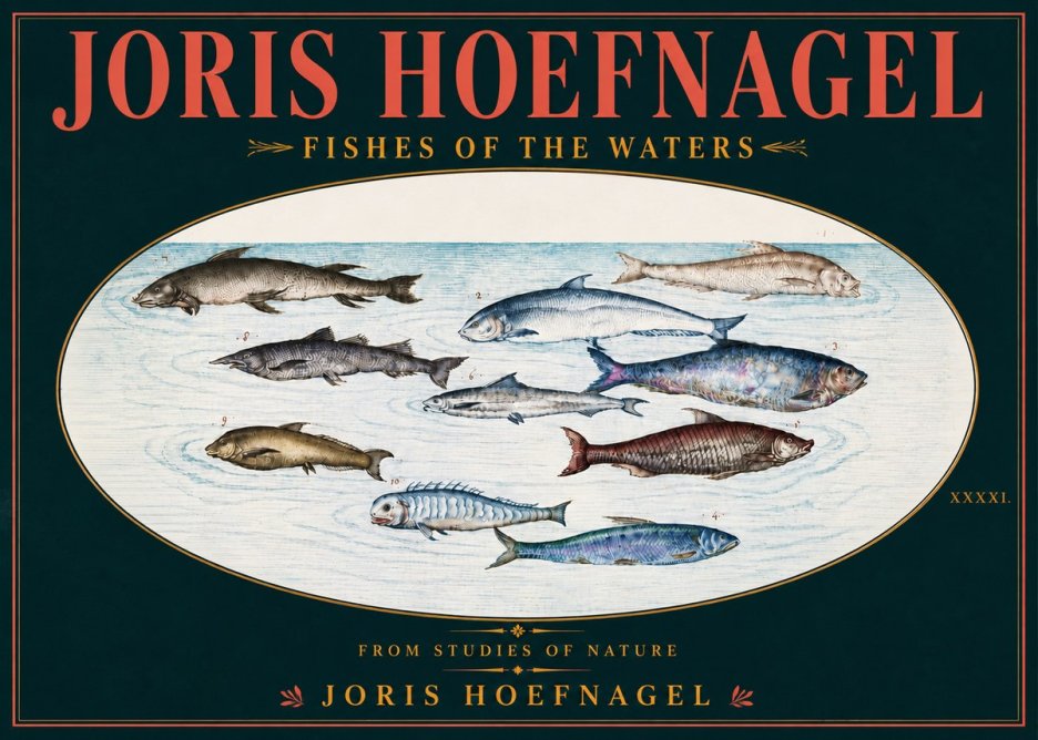 Joris Hoefnagel Fishes of the Waters II No6 - Poster