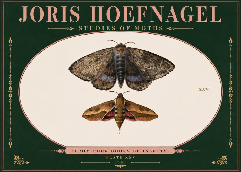 Joris Hoefnagel Studies of Moths I No6 - Poster