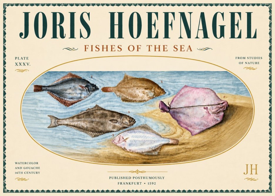 Joris Hoefnagel Fishes of the Sea II No5 - Poster
