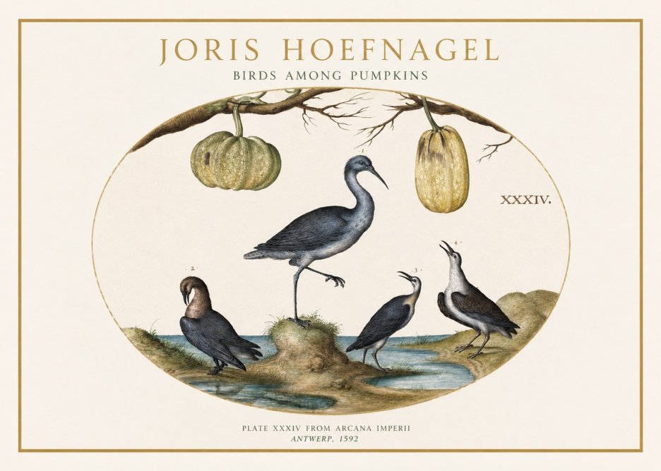 Joris Hoefnagel Birds and Fruits No2 - Poster