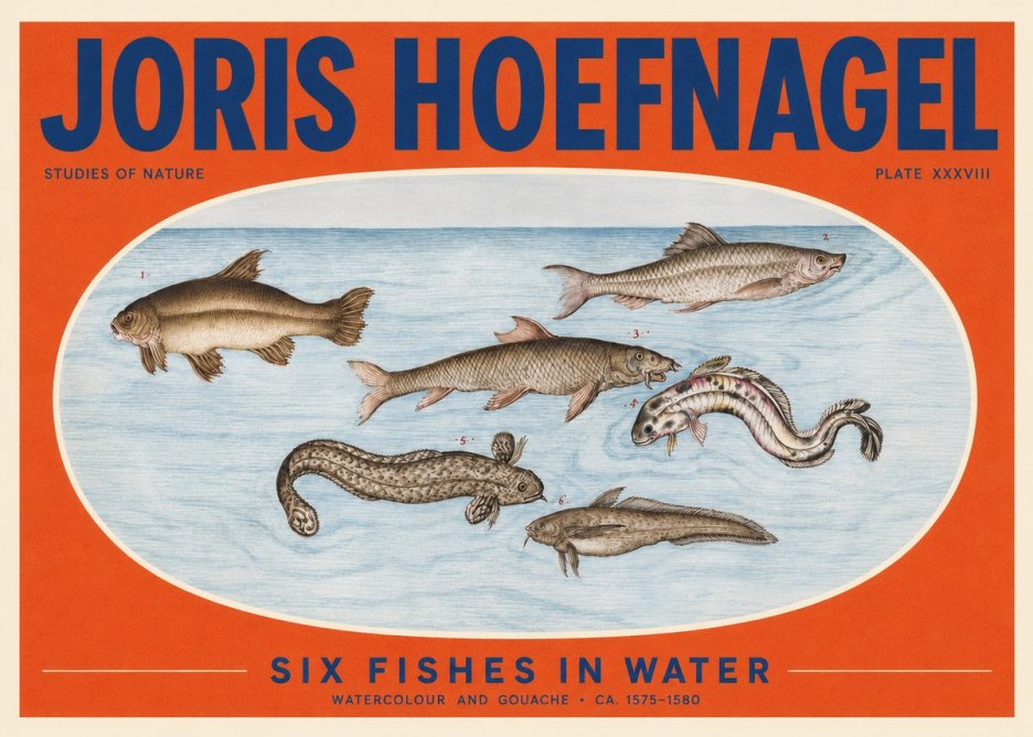 Joris Hoefnagel Six Fishes in Water II No2 - Poster