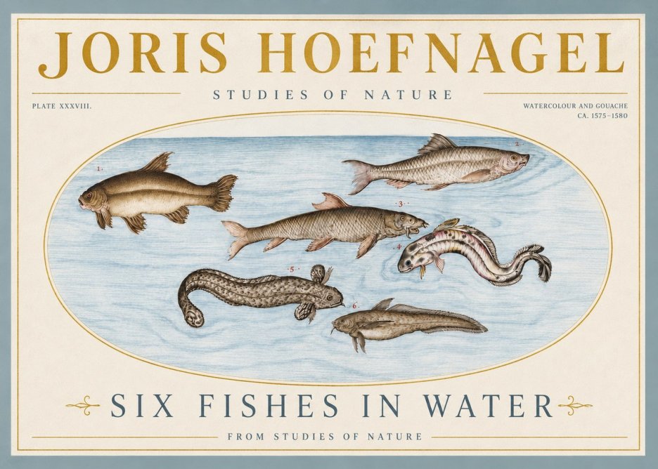 Joris Hoefnagel Six Fishes in Water II No4 - Poster